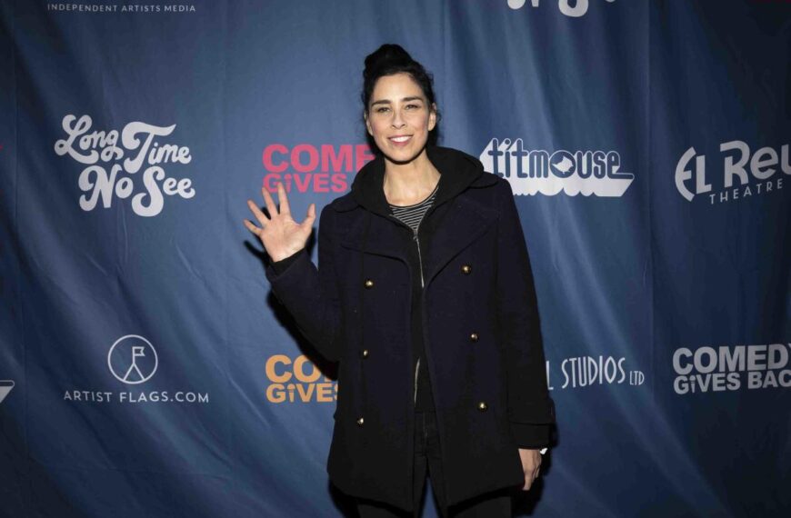 Sarah Silverman’s copyright infringement suit against OpenAI will advance in pared-down form